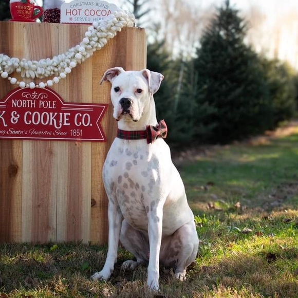 Welcome! 🫶 - Picture 2 of 15